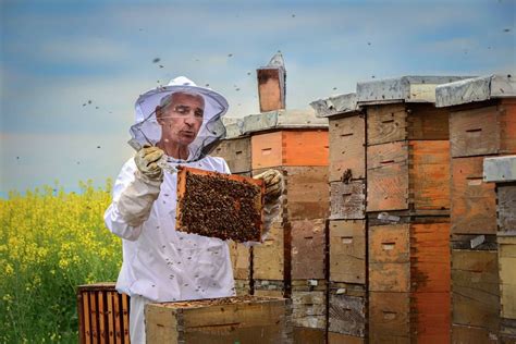 FOTOGALERIJA Ovo Su Najbolje Ruralne Fotografije U 2023 Godini