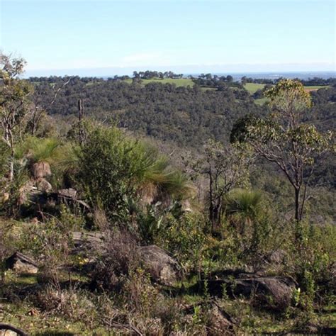 Kittys Gorge Serpentine Np Jarrahdale Trails Wa Trails Wa