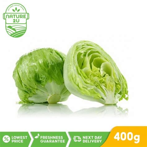 Fresh Vegetable Lettuce Iceberg G Pgmall