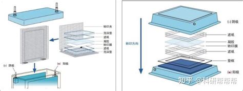 Western Blot 实验技术全攻略 知乎