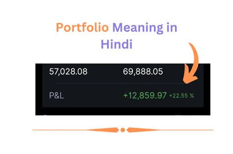 Portfolio Meaning In Hindi