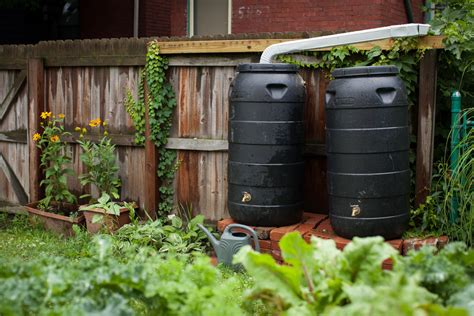 Advantages Of Collecting Uses For Rainwater Beautyharmonylife