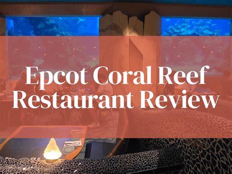 The Surprising Coral Reef Restaurant EPCOT review