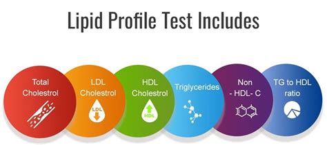 Quick Diagnostics Laboratory Services For A Variety Of Diagnostic Needs