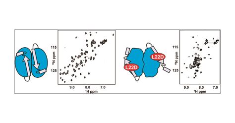 Conformation Of The Cell Division Regulator MinE Evidence For