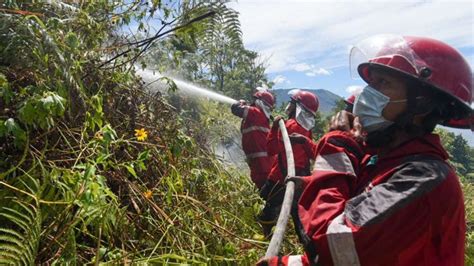 Dua Titik Panas Terdeteksi Sensor BMKG Di Sumatera Utara