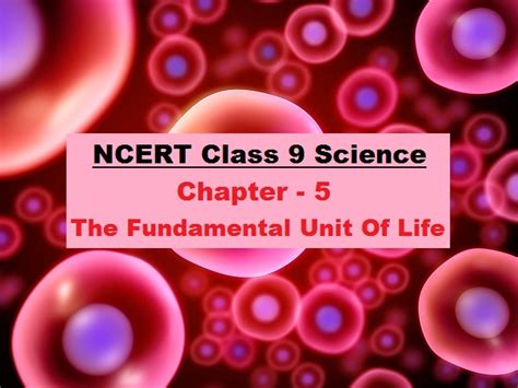 The Fundamental Unit Of Life Class Science Ncert Book Chapter Pdf