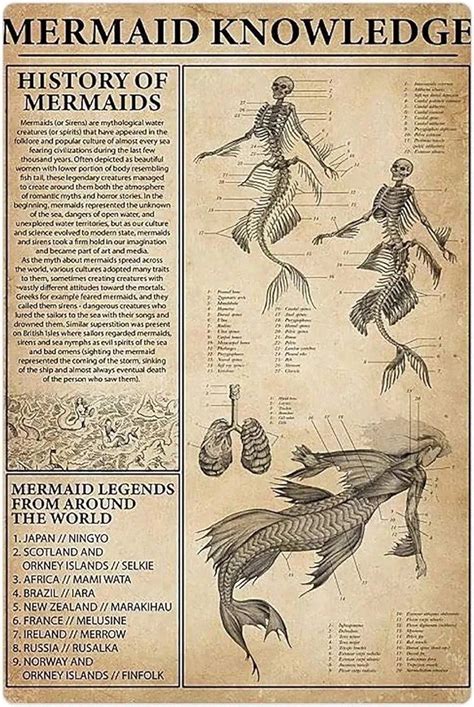 Pin By Markis Brown On Magical Art Ideas Mermaid History