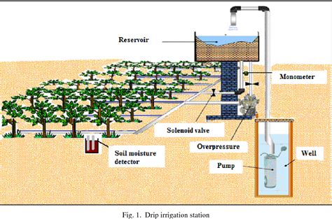 Drip Irrigation Layout Plan