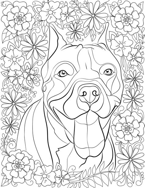 Pitbull Coloring Sheets