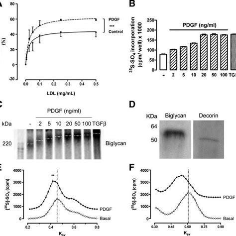 Pdgf Activates Erk In Human Vsmcs A Cells Were Treated With Each