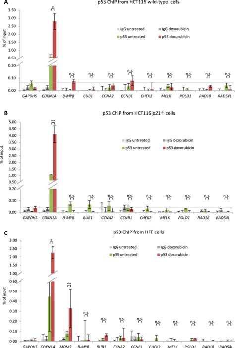 P Does Not Bind To Promoters Of Genes Harboring Chr Sites Protein