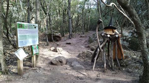 Bosc De Les Bruixes Largentera Ce L Areny