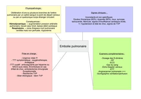 SOLUTION Cartes Mentales Processus Obstructifs Studypool