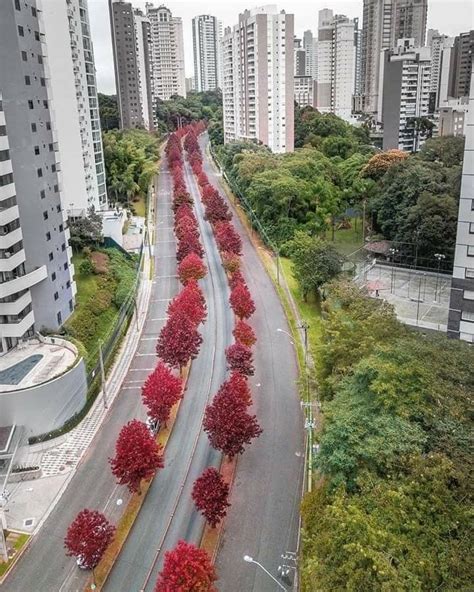Rua Heitor Maia