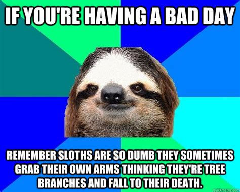 If you're having a bad day remember sloths are so dumb they sometimes ...