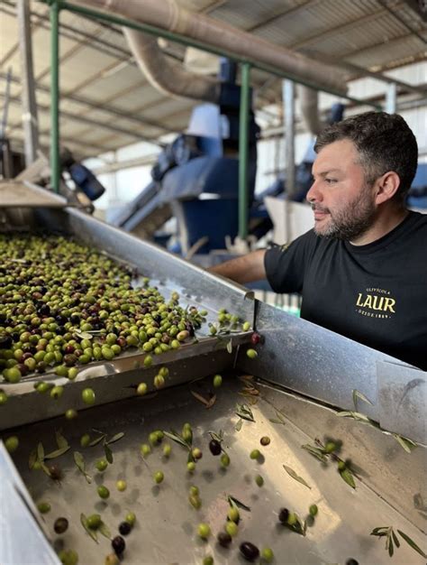 El Aceite De Oliva Argentino Que Sali Campe N Del Mundo Y Sum Su