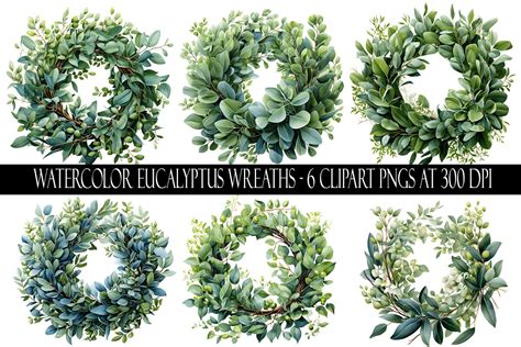 Watercolor Eucalyptus Wreath Clipart Graphic By Digital Paper Packs