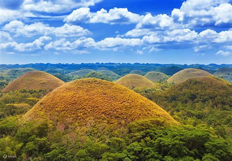 Bohol Countryside Day Tour All In Package Explore The Best Of Bohol