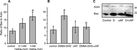 AHR Activation Increases Bax Expression In Human Fetal Testis A