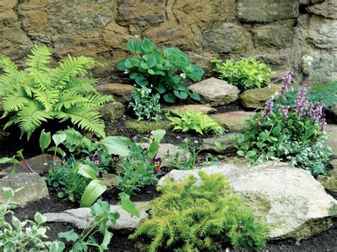 What Plants To Plant In A Rock Garden At Ramona Cheatham Blog