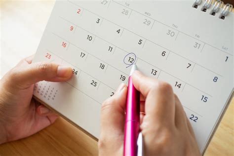 Calendario Scolastico 202324 Primo Ed Ultimo Giorno Di Scuola