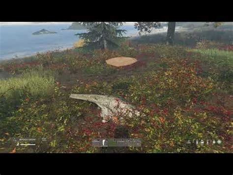 Dayz Dildo Stump YouTube