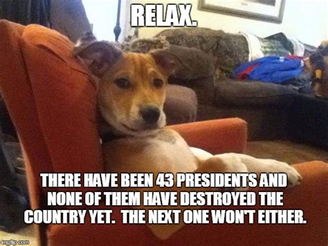 Relaxed Dog Memes - Imgflip