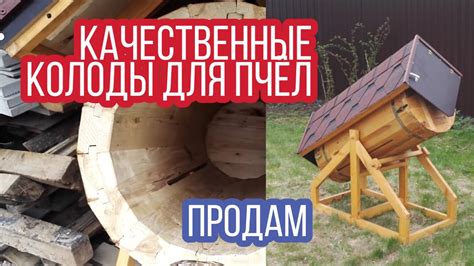 Колода для пчёл - YouTube