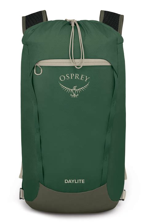 Osprey Daylite Cinch Backpack in Green | Lyst