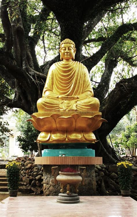 Buddha Shakyamuni Statue Shakyamuni Buddha Sat Under The Bodhi Tree