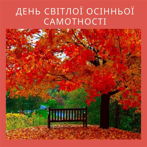 День світлої осінньої самотності | Природа, Фотографии, Осень