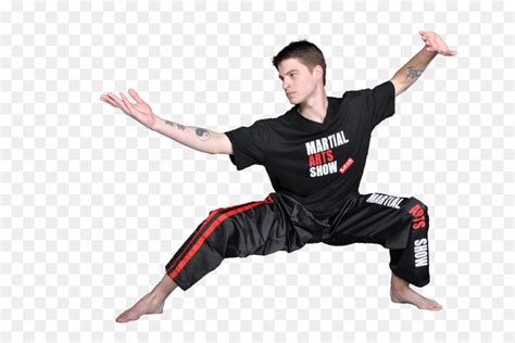 Mosteiro De Shaolin Kung Fu Wing Chun png transparente grátis