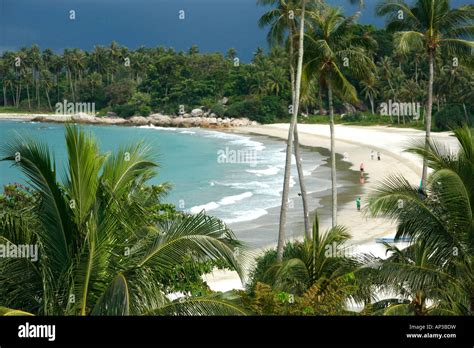 Beach, Angsana beach resort, Bintan Island, Indonesia Stock Photo - Alamy