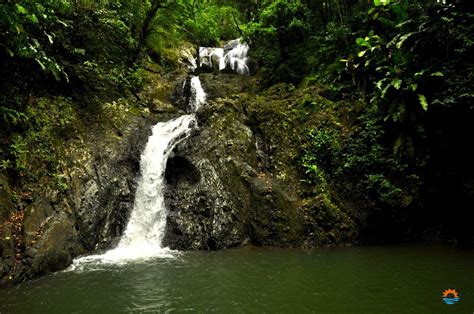 hiking waterfalls tobago