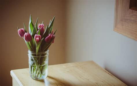 Flowers Pink Tulips Vase Table wallpaper | 1680x1050 | #22997