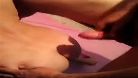 Georgian Qartuli Zgvaze Nuca Free American Porn Video 4f XHamster