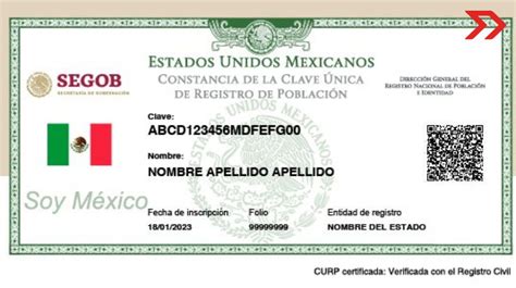 Curp Certificada As Puedes Tramitarla Paso A Paso