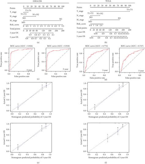 Nomograms Predicting 3 Year And 5 Year OS For Patients With Colon