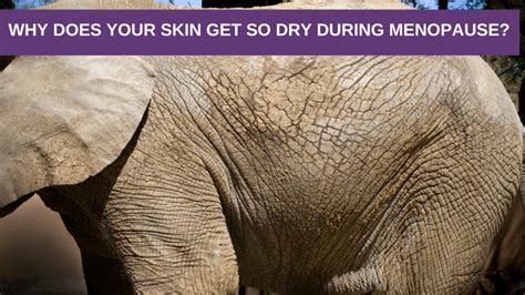 Why Does Your Skin Get So Dry During Menopause? - Genesis Gold