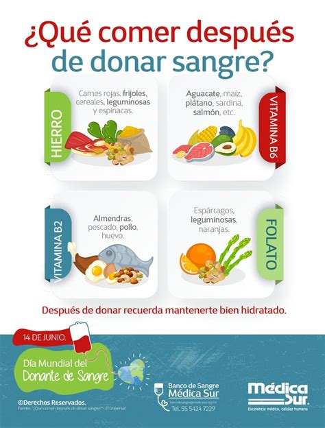 Qué comer después de donar sangre Donar sangre Donacion de sangre