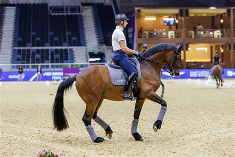 Dags för kürfinal Patrik startar sist Svenska Ridsportförbundet