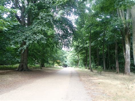 Woodland Road Sheringham Park Eirian Evans Cc By Sa Geograph