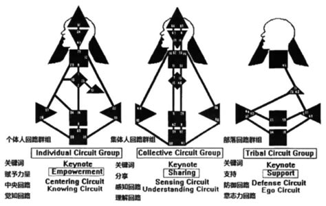 人类图：人体内的能量回路与通道（1） 知乎