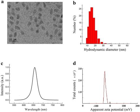 The Characterization Of Cdse Zns Qds A The Tem Image Of Qds B The