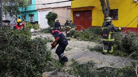 Fuertes vientos derrumban árboles y causan daños en CDMX lanzan alerta