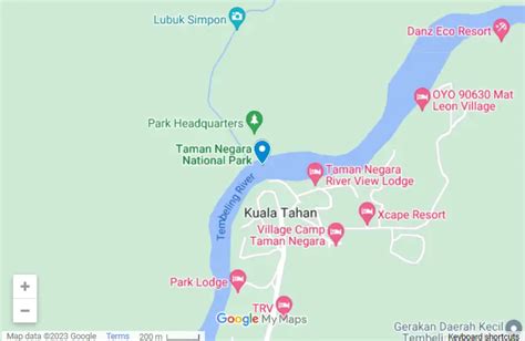 Full Guide To Taman Negara National Park [Must Read!] - Dive Into Malaysia