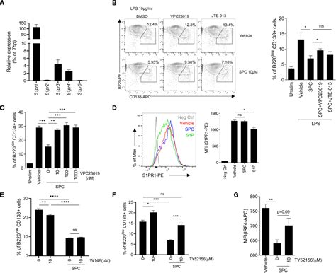 Frontiers Sphingosylphosphorylcholine Inhibits Plasma Cell