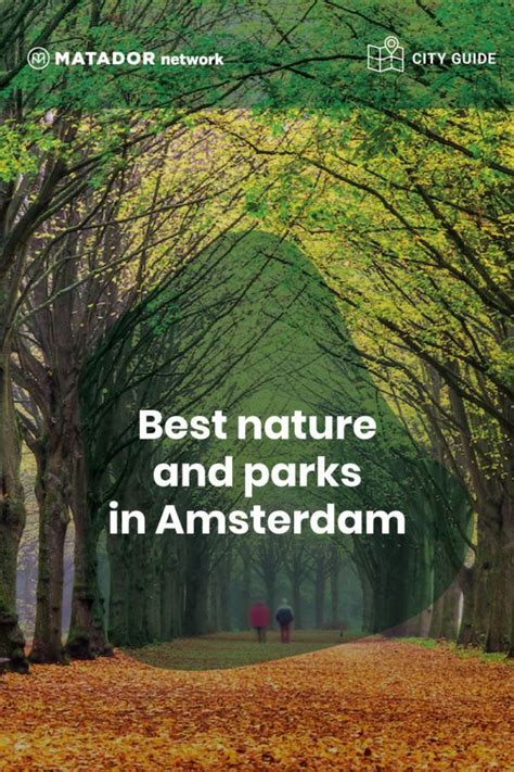 The best parks and green spaces in Amsterdam