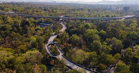 Calzada Flotante Chivatito Bosque De Chapultepec